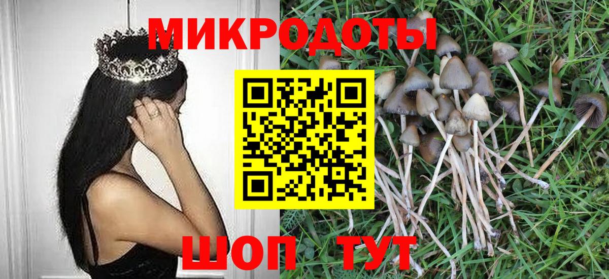 Морозовск  Псилоцибиновые грибы Magic Shrooms  Вход с VPN 